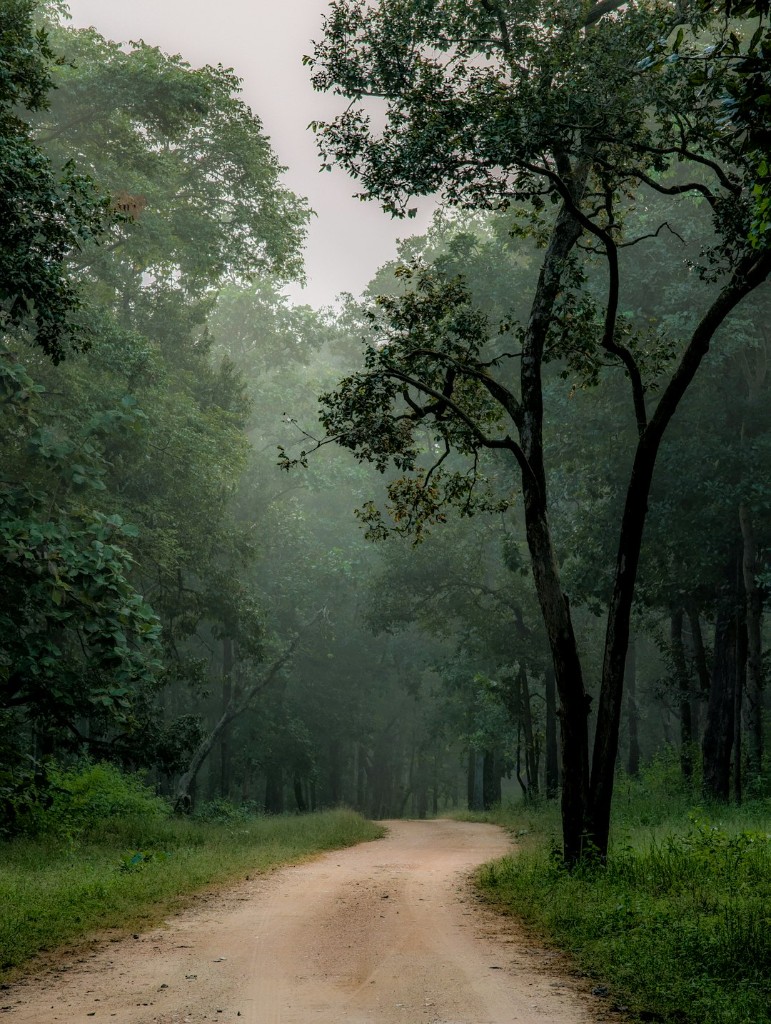 I want a Guided Journey
