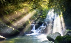 By the Rivers of Babylon