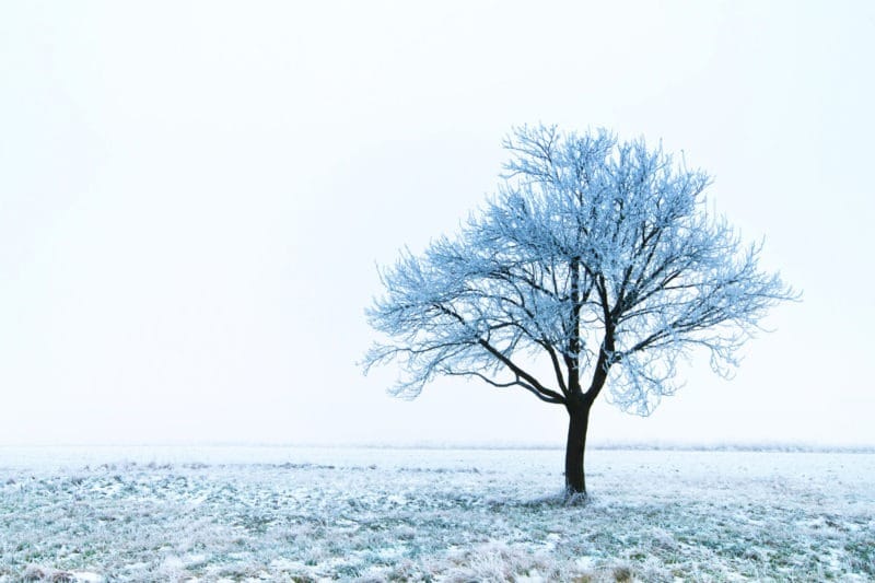spiritual meaning of snow