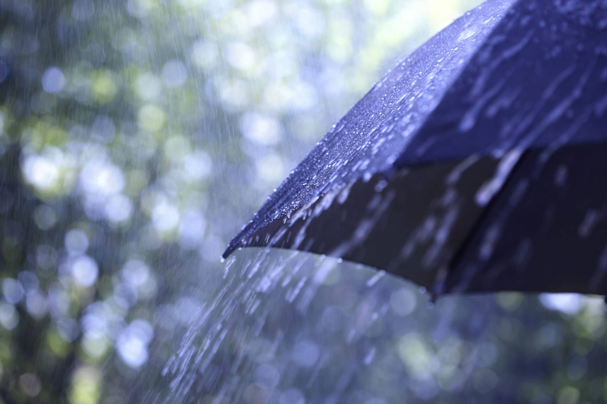 Winter The Season Of Rains The Meaningful Life Center