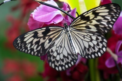 Personal transformation