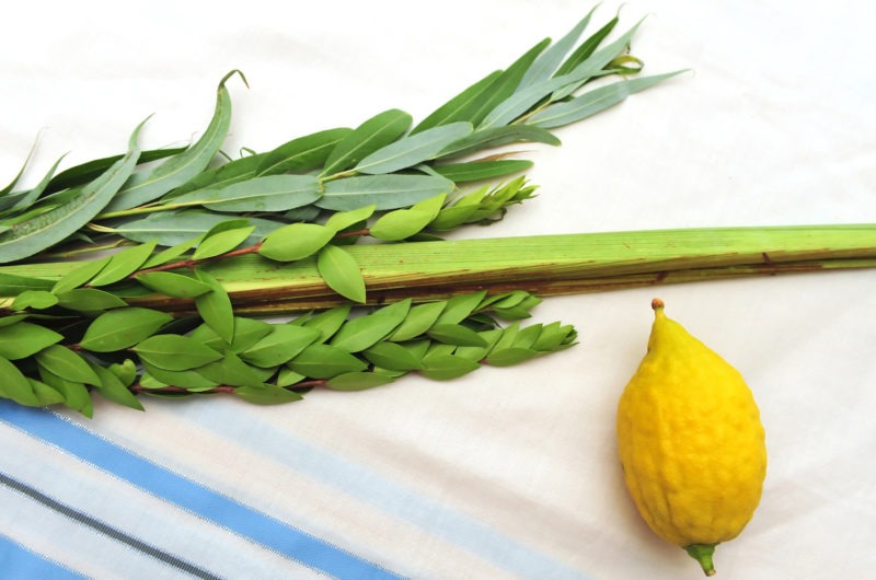 Sukkot and Simchat Torah Joy The Meaningful Life Center