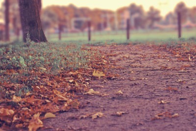 Yom Kippur Stories