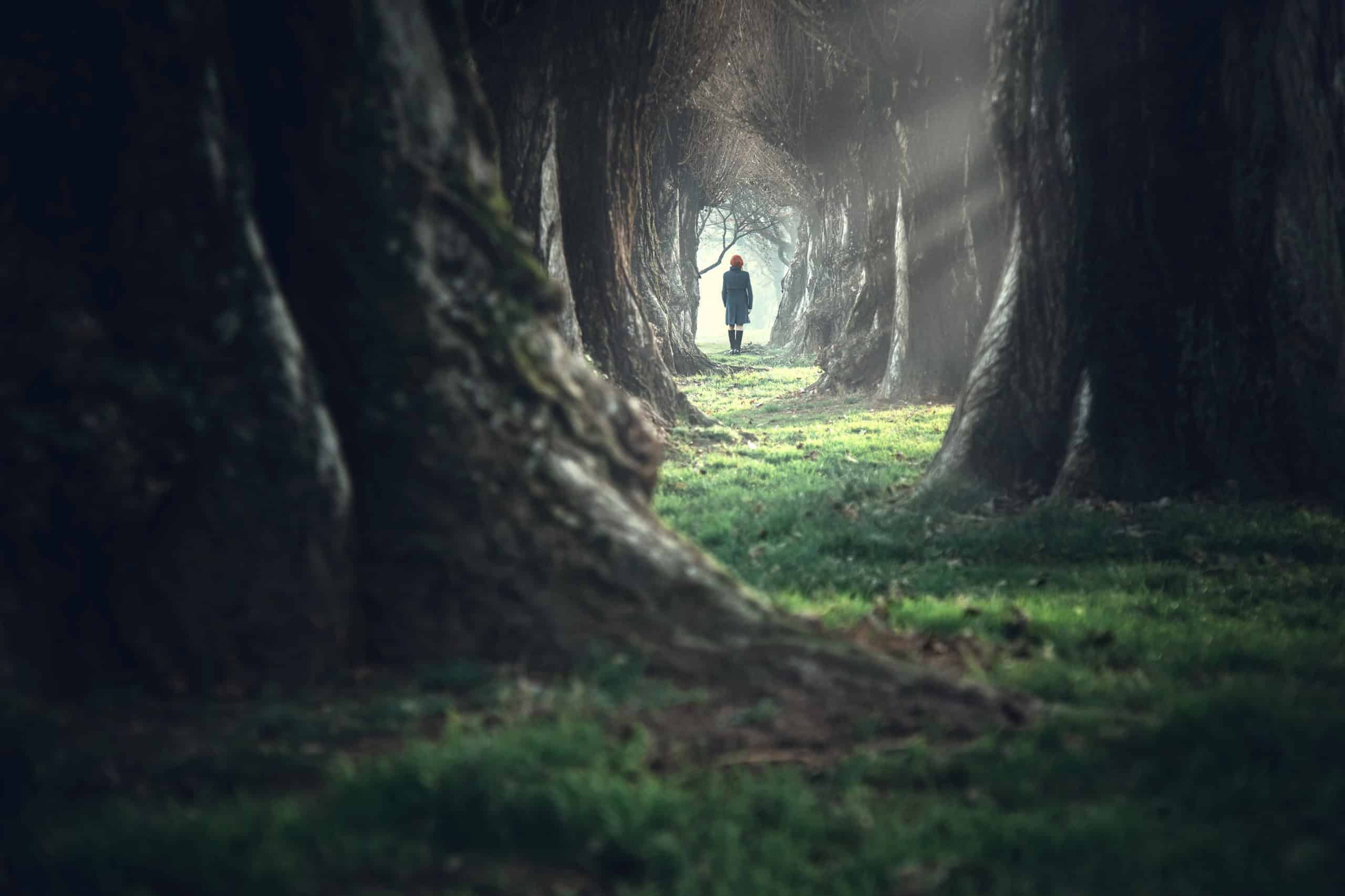 The Elder Jewish Sage'S Guide To A Meaningful Life - 6vlmorz