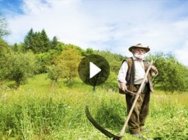 chassidic story farmer of chelm