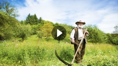 chassidic story farmer of chelm