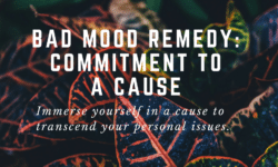 bad mood remedy commitment to a cause