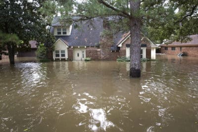 Hurricane Harvey